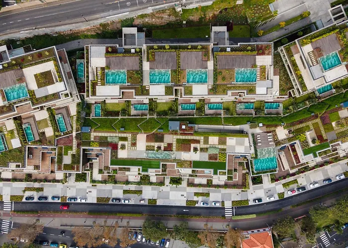 Savoy Monumentalis Va By Lm&ac Signature