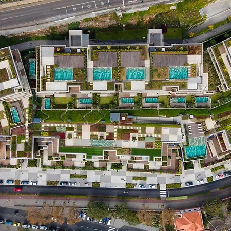 Savoy Monumentalis Va By Lm&ac Signature